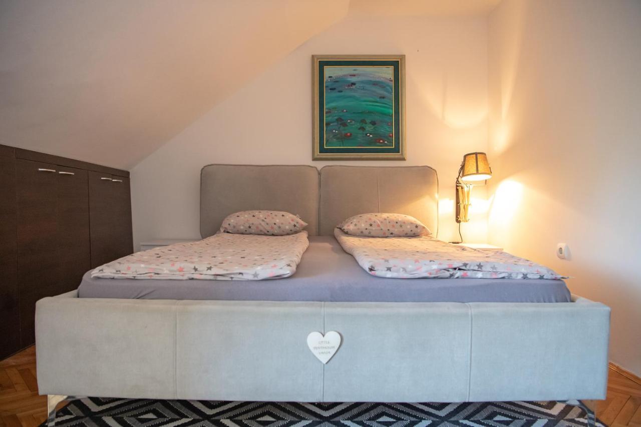 Appartamento Marina Penthouse Novi Sad Esterno foto