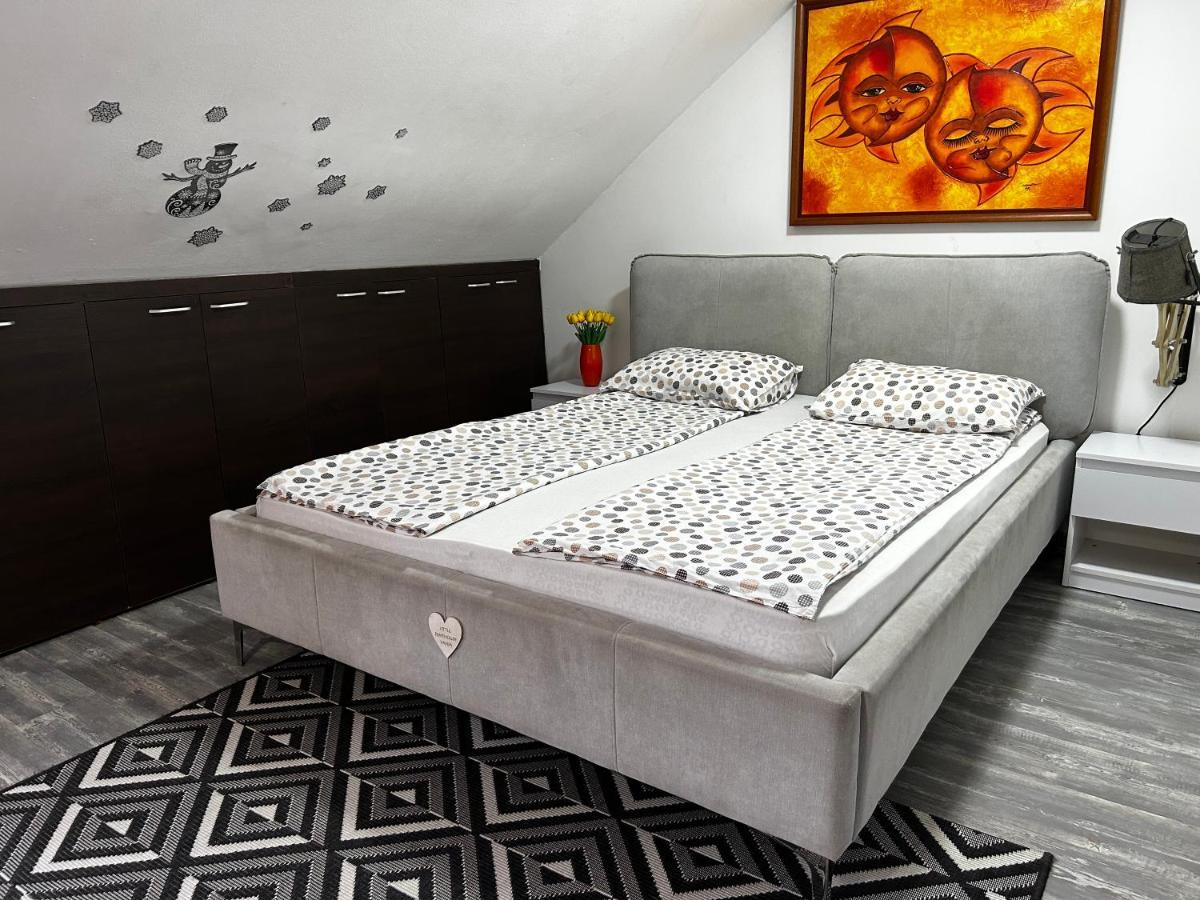 Appartamento Marina Penthouse Novi Sad Esterno foto