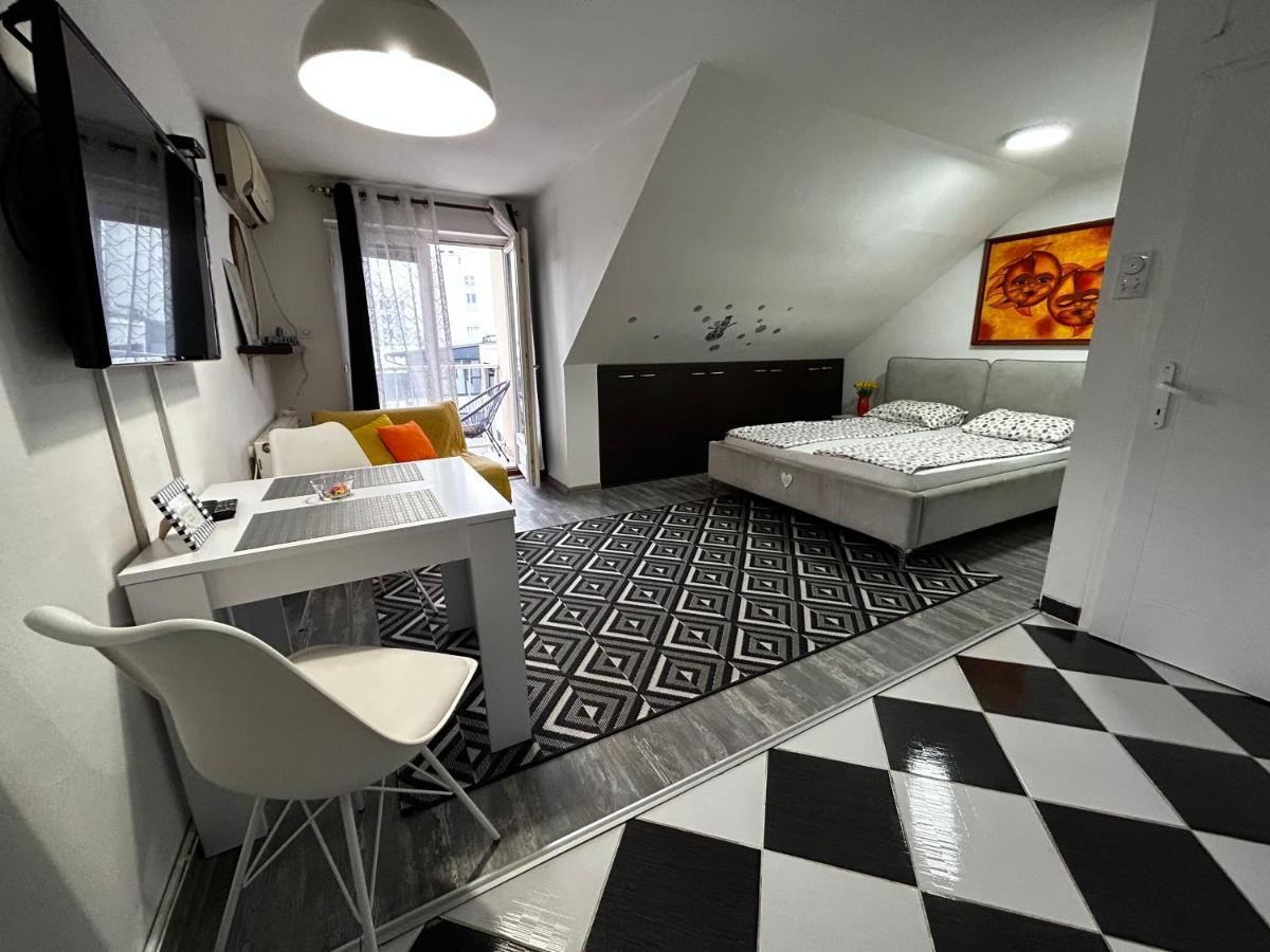 Appartamento Marina Penthouse Novi Sad Esterno foto